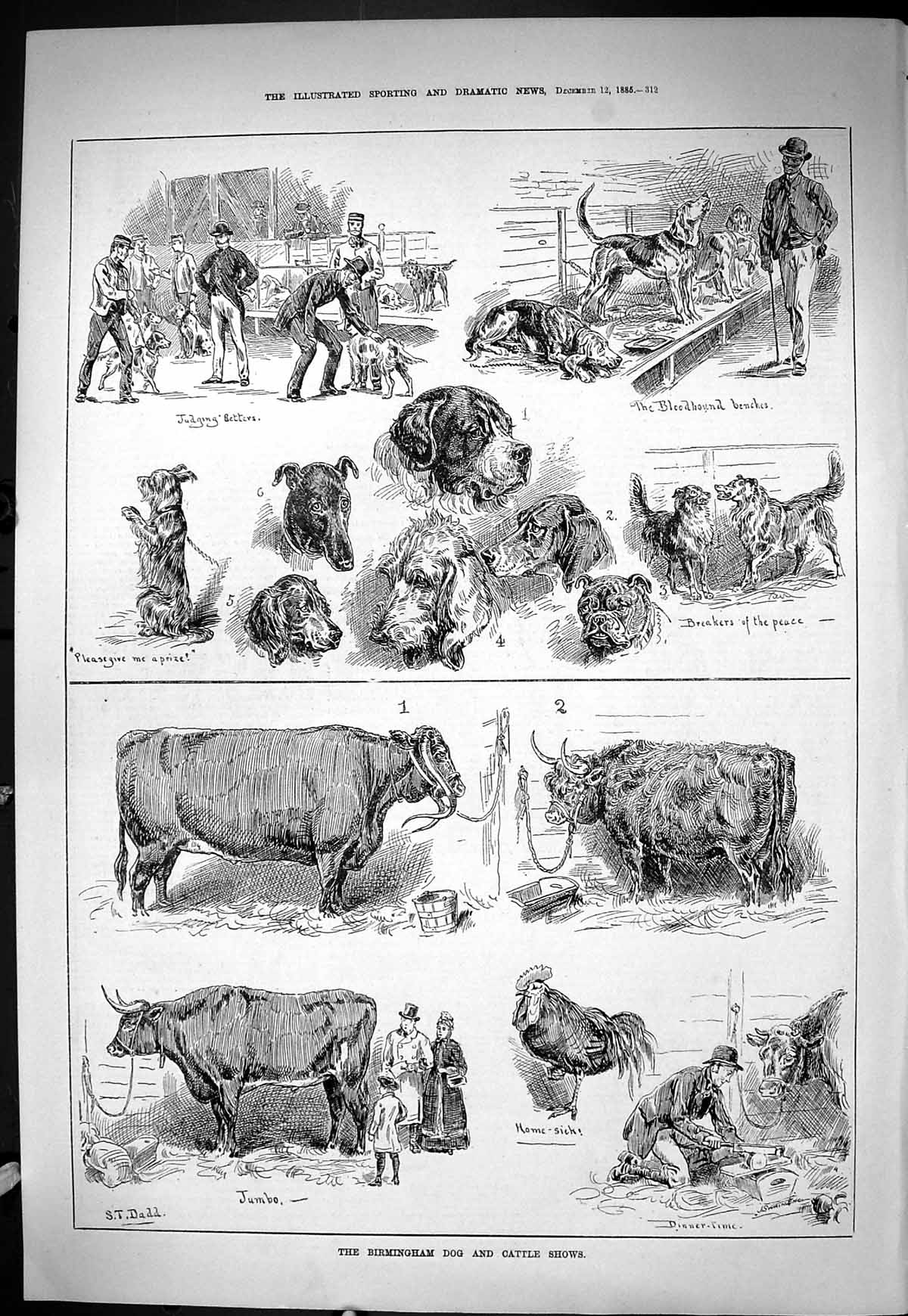Old Sporting Dramatic News 1885 Brimingham Dog Cattle Show Bloodhound Victorian