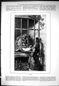 Old Sporting Dramatic News 1885 Friends Native Lady Feeding Wild Anim Victorian