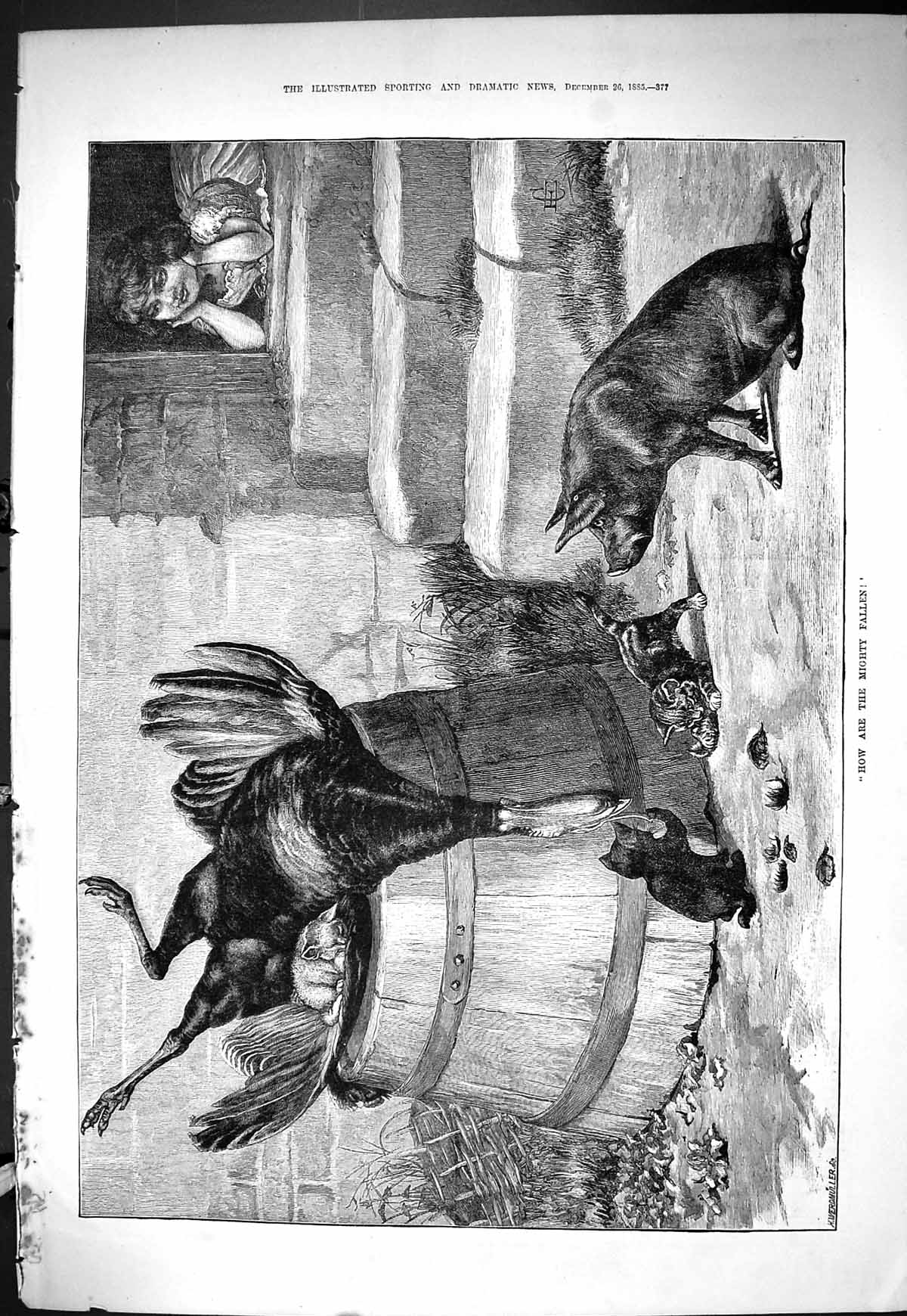 Old Sporting Dramatic News 1885 Little Girl House Doorstep Dead Turke Victorian