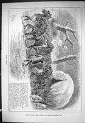 Old Sporting Dramatic News 1886 Severe Weather Snow Winter Horses Car Victorian
