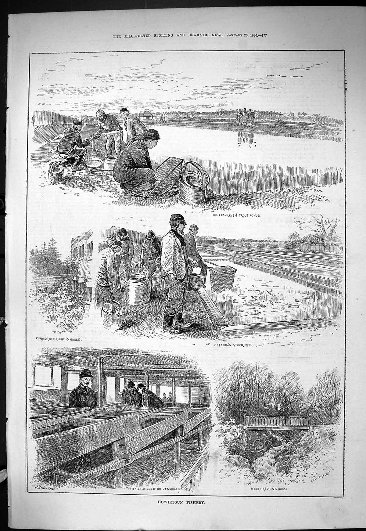 Old Sporting News 1886 Howietoun Fishery Hatching House Fish Loch Lev Victorian