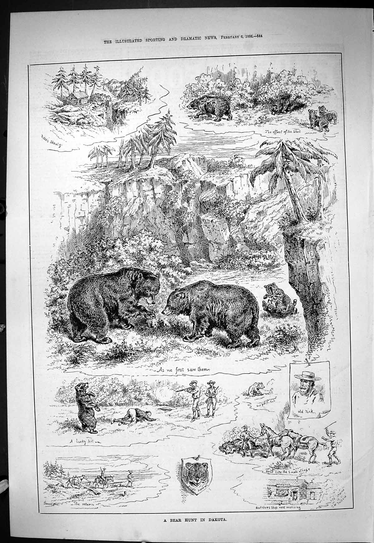 Antique Print Sporting Dramatic News 1886 Bear Hunting Dakota Nick Shanty B