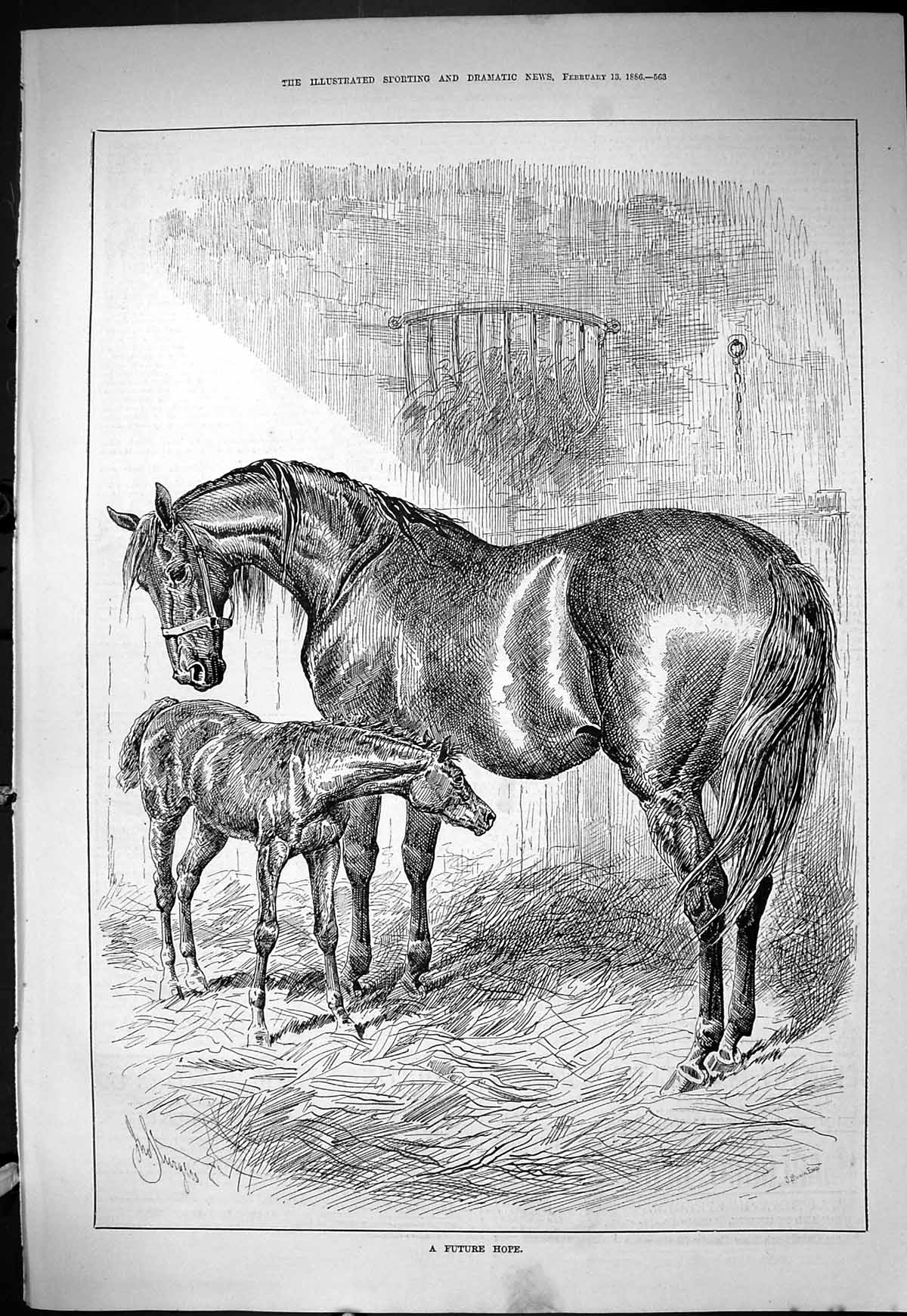 Antique Old Print Sporting Dramatic News 1886 Future Hope Horse Stable Foal