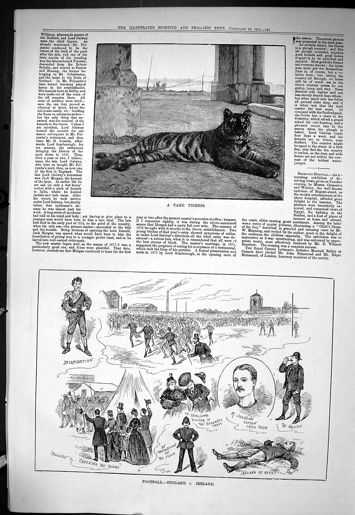 Old Sporting Dramatic News 1886 Tame Tigress Football England Ireland Victorian