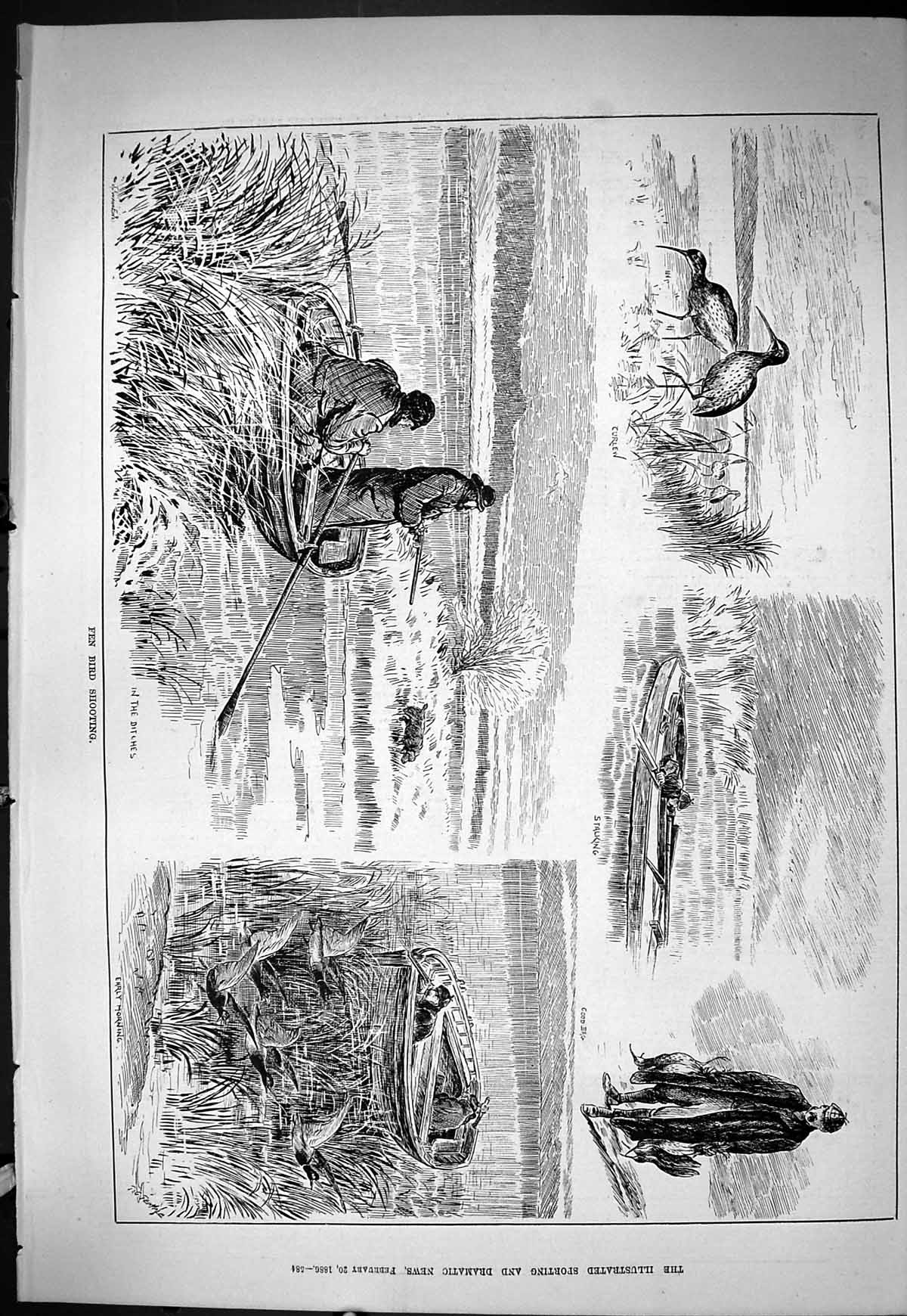 Old Sporting Dramatic News 1886 Fen Bird Shooting Curlew Stalking Hun Victorian