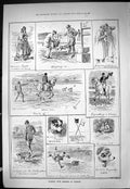 Old Sporting Dramatic News 1886 Hare Coursing Terriers Windsor Fraser Victorian