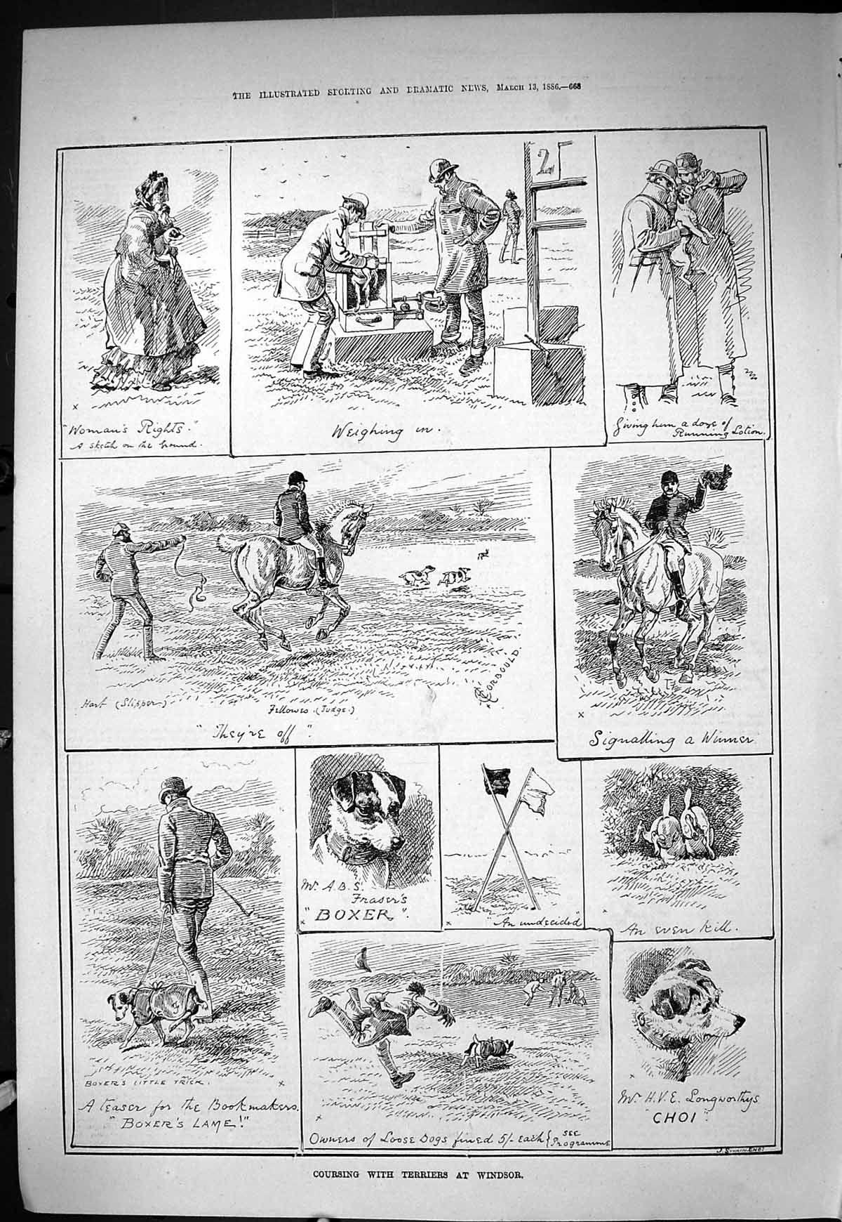 Old Sporting Dramatic News 1886 Hare Coursing Terriers Windsor Fraser Victorian