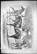 Old Sporting Dramatic News 1886 Horse Racing Jockeys In The Sulks Spo Victorian