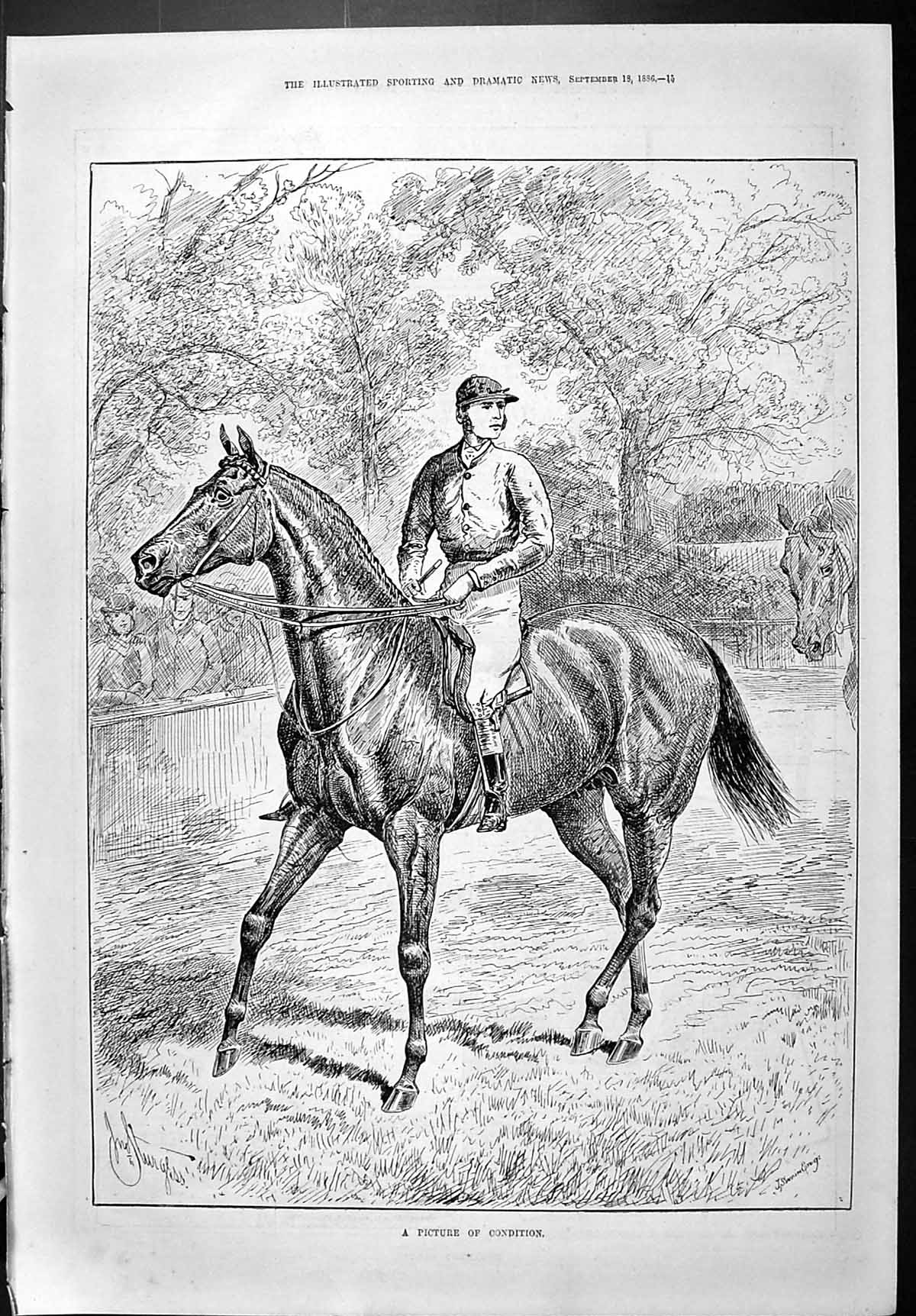 Antique Old Print Sporting Dramatic News 1886 Swain Jockey Horse Racing Sport