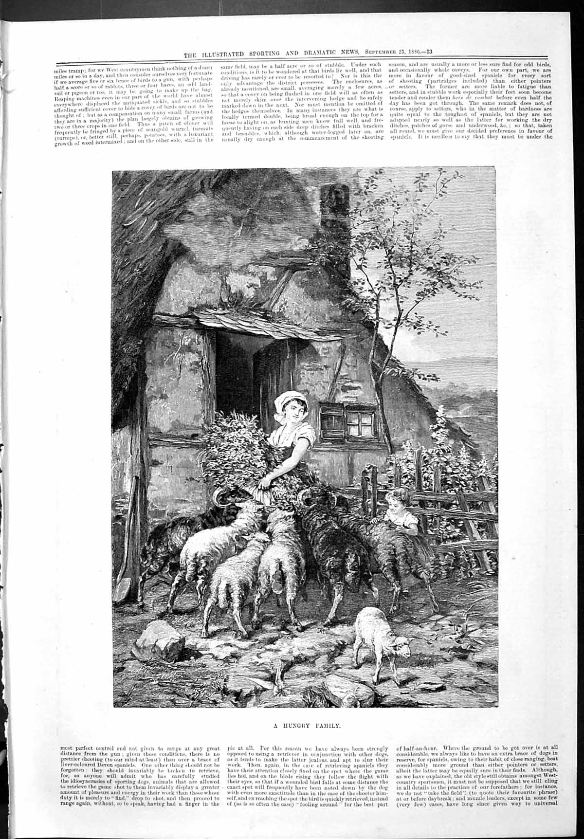 Old Print Sporting Dramatic News 1886 Hungry Family Sheep Farmyard Scene 19th