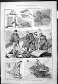Old Sporting Dramatic News 1886 Sea Fishing Boats Trawling Trammellin Victorian