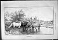 Old Sporting Dramatic News 1886 Village Pond Horses Geese Swain Stanl Victorian