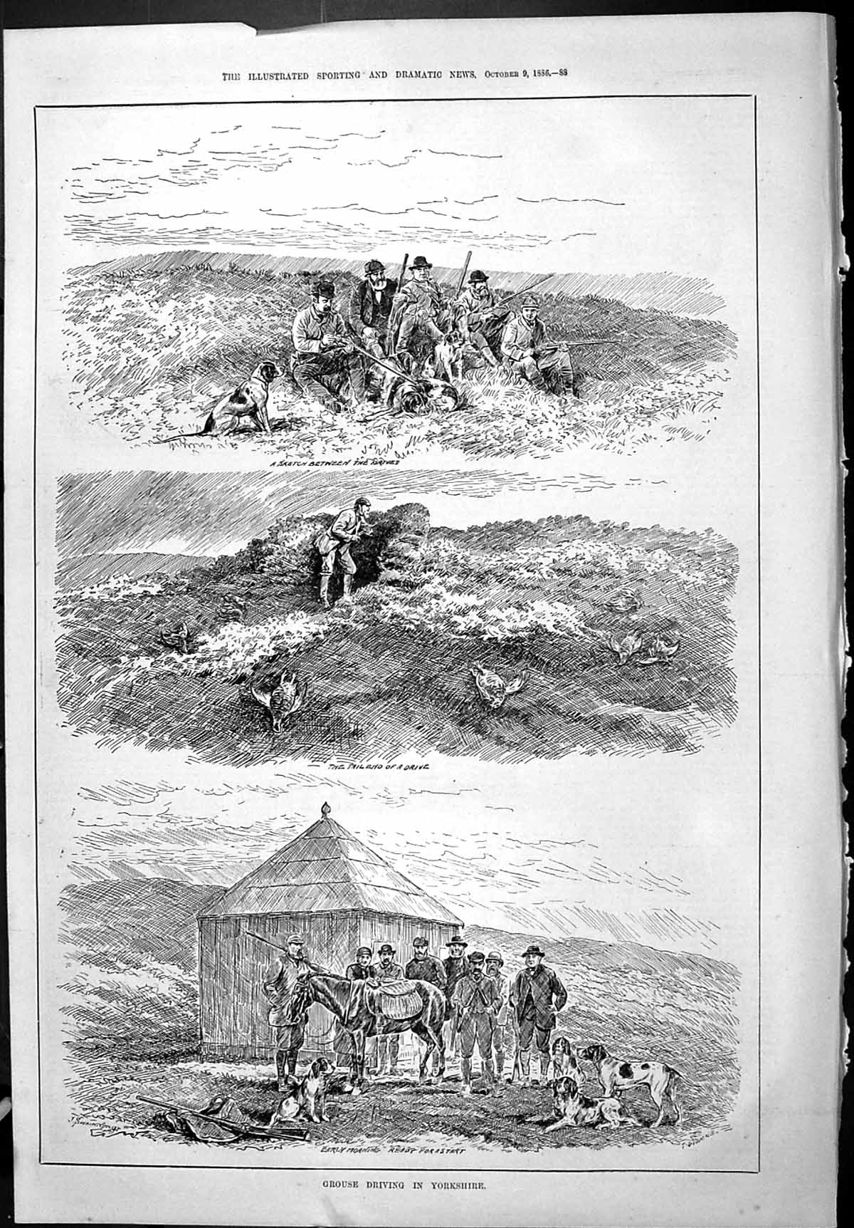 Old Sporting Dramatic News 1886 Grouse Driving Yorkshire Hunting Bird Victorian