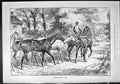 Old Sporting Dramatic News 1886 Stud Horses Swain Captious Critic Dai Victorian