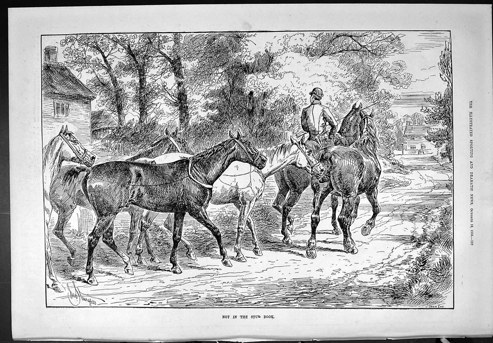 Old Sporting Dramatic News 1886 Stud Horses Swain Captious Critic Dai Victorian