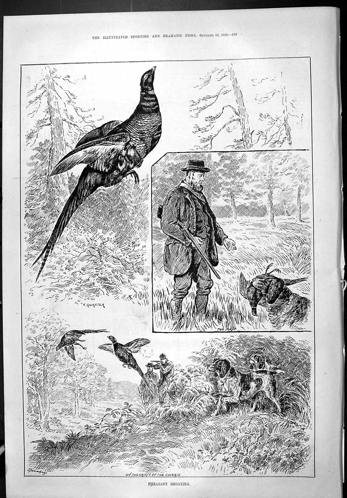 Old Sporting Dramatic News 1886 Pheasant Shooting Birds Hunting Sport Victorian