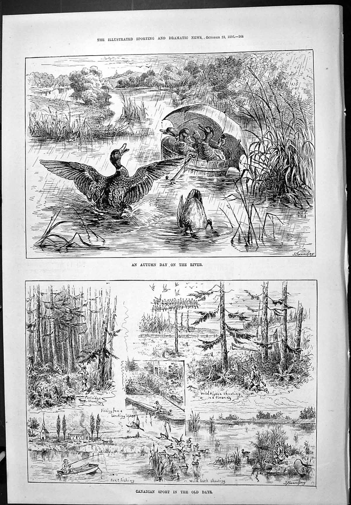 Old 1886 Ducks Autumn Day River Canada Sport Fishing Pigeon Hunting P Victorian
