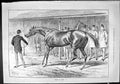 Old Sporting Dramatic News 1886 Pulled Up Lame Horse Racing Sport Swa Victorian
