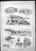Old Sporting Dramatic News 1886 Coaching Norwich London Thetford Lime Victorian
