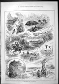 Old Sporting Dramatic News 1886 Queen Visit Edinburgh Dalkeith Pheasa Victorian