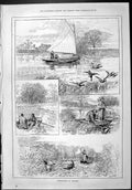 Old Sporting Dramatic News 1886 Wildfowling Norfolk Birds Shooting Sn Victorian
