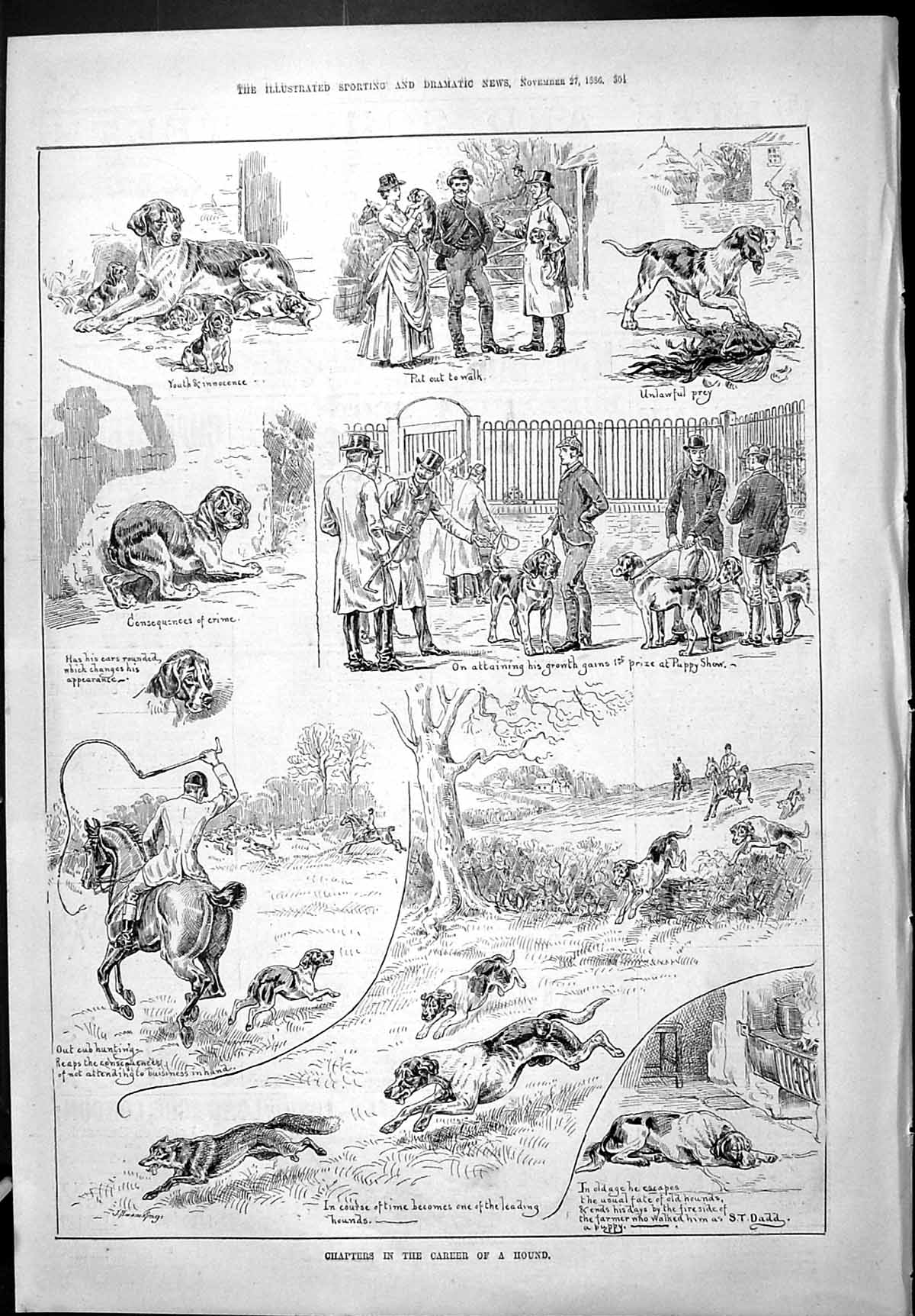 Old Sporting Dramatic News 1886 Chapters Career Hound Dogs Hunting Pu Victorian
