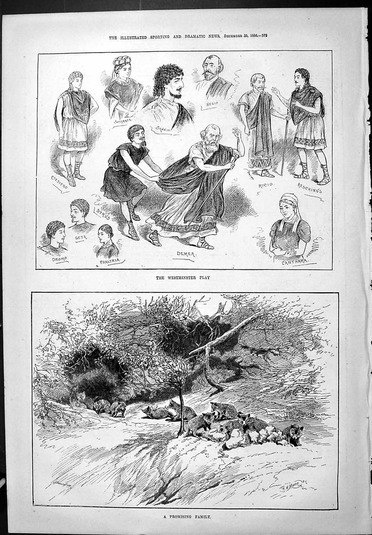 Old 1886 Westminster Play Dromo Geta Demea Canthara Theatre Fox Cubs Victorian