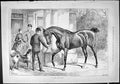 Old Sporting Dramatic News 1887 New Year'S Gift Horse Dogs Family Hom Victorian