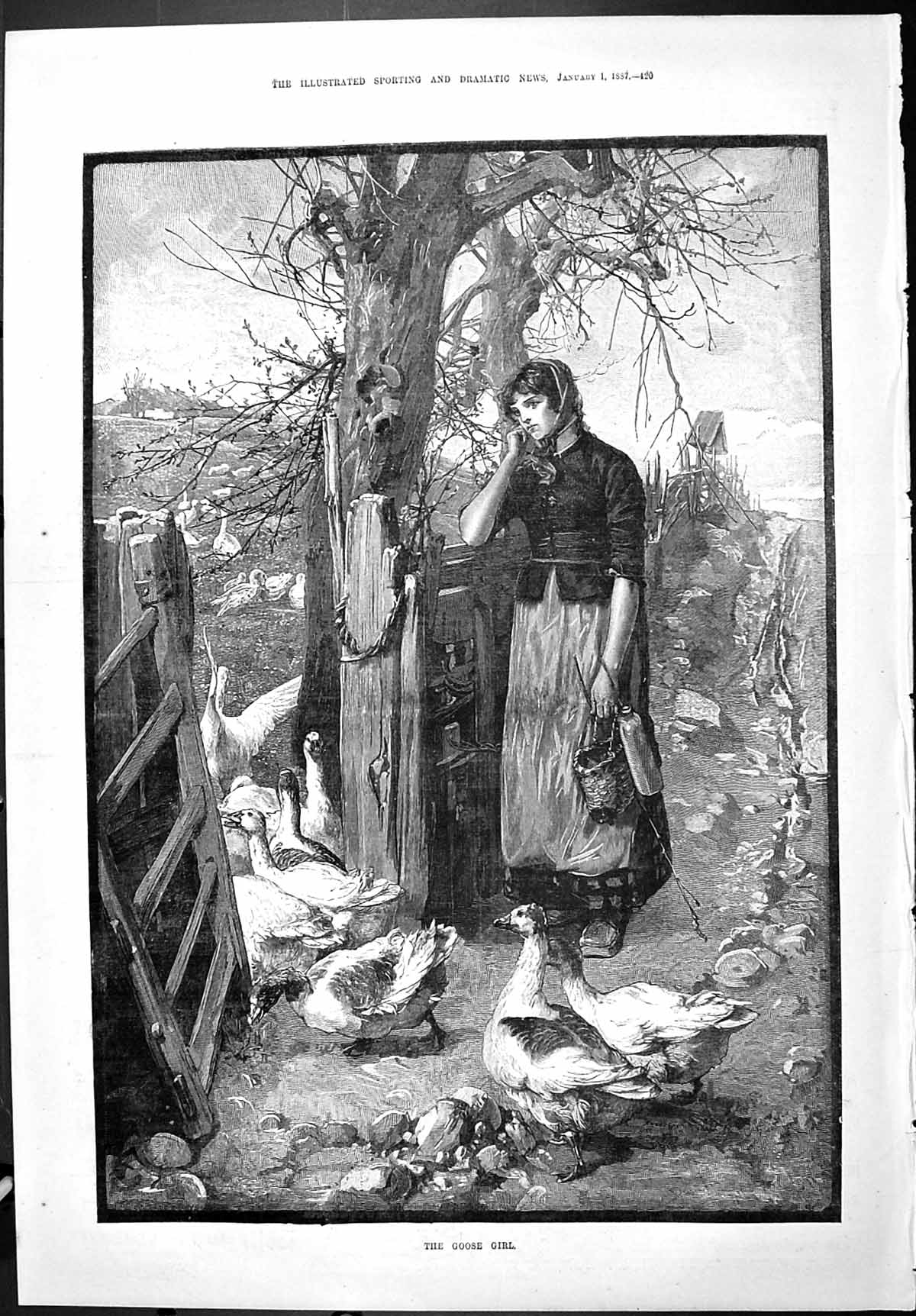 Old Sporting Dramatic News 1887 Goose Girl Farmyard Feeding Birds Fin Victorian