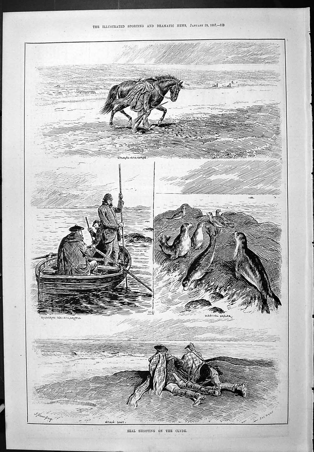 Antique Print Sporting Dramatic News 1887 Seal Shooting River Clyde Hunting