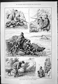 Old Sporting Dramatic News 1887 Rough Shooting Birds Hunting Cliffs P Victorian