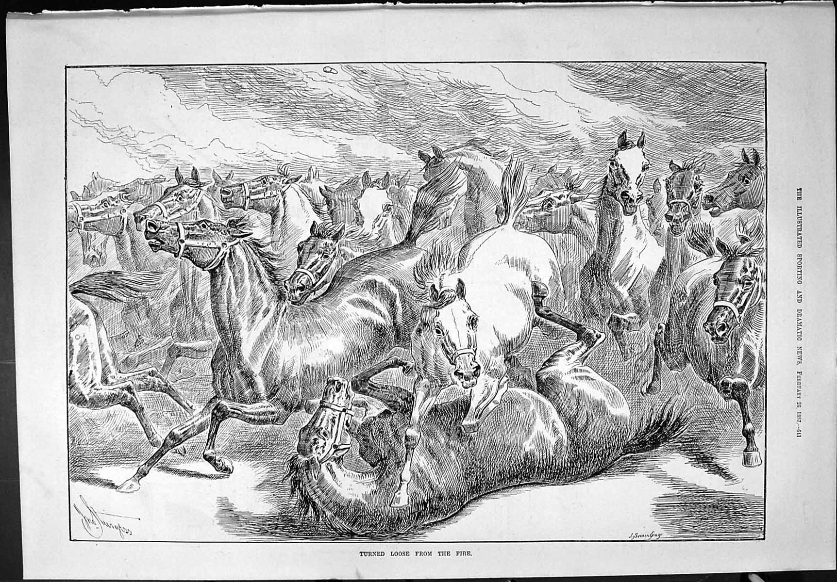 Antique Old Print Sporting Dramatic News 1887 Horses Turned Loose Fire Swain