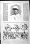 Old Sporting Dramatic News 1887 Arthur Coventry Jockey Shire Horse So Victorian