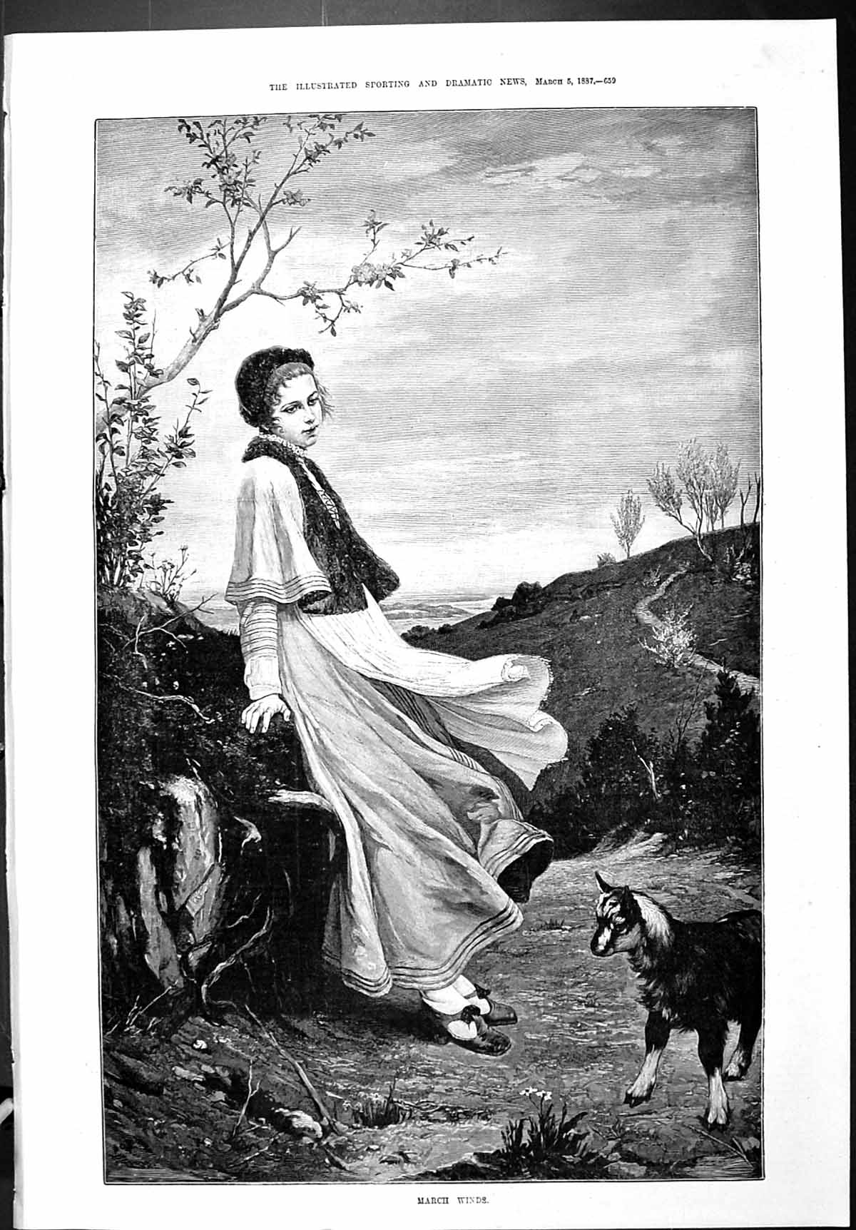 Old Sporting Dramatic News 1887 March Winds Beautiful Lady Goat Fine Victorian