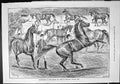 Old Sporting Dramatic News 1887 Horses Hackney Hunters Improvement So Victorian