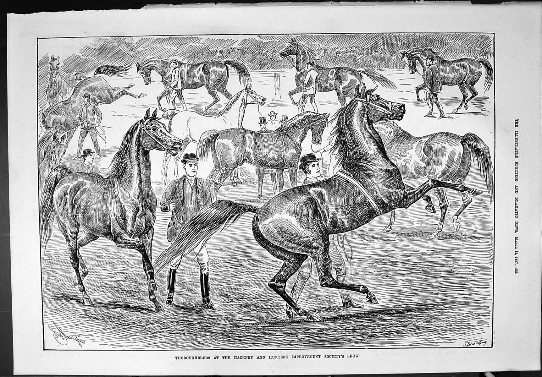 Old Sporting Dramatic News 1887 Horses Hackney Hunters Improvement So Victorian