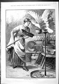 Old Sporting Dramatic News 1886 Noisy Wretch Lady Brush Cockatoo Bird Victorian