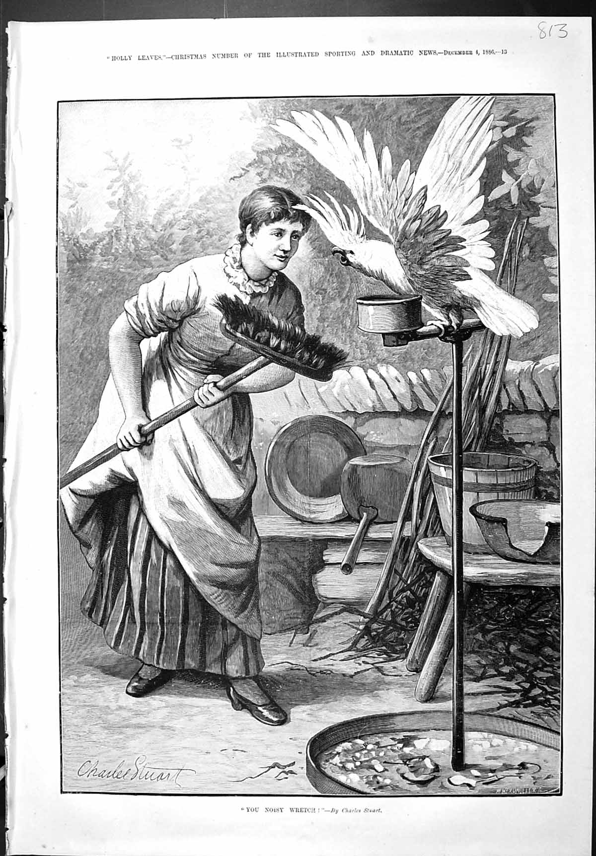 Old Sporting Dramatic News 1886 Noisy Wretch Lady Brush Cockatoo Bird Victorian