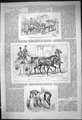 Old Ladies Sport Horses Driving Coach Stable Scene 1887 Theatre Criti Victorian