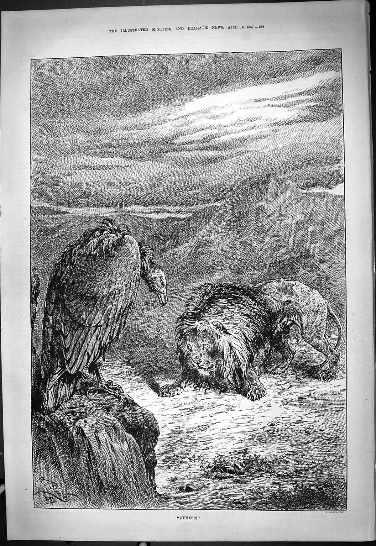 Original Old Antique Print 1887 Nemesis Vulture Bird Prey Lion Wild Animals