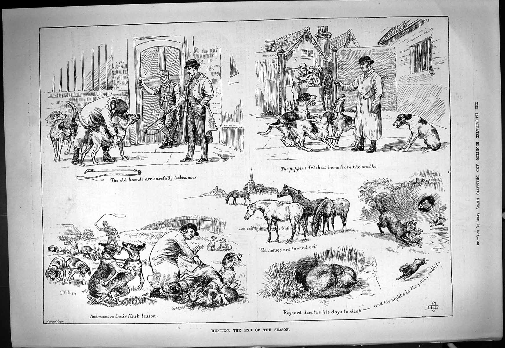 Antique Old Print 1887 Fox Hunting Hounds Dogs Puppies Horses Reynard Sport