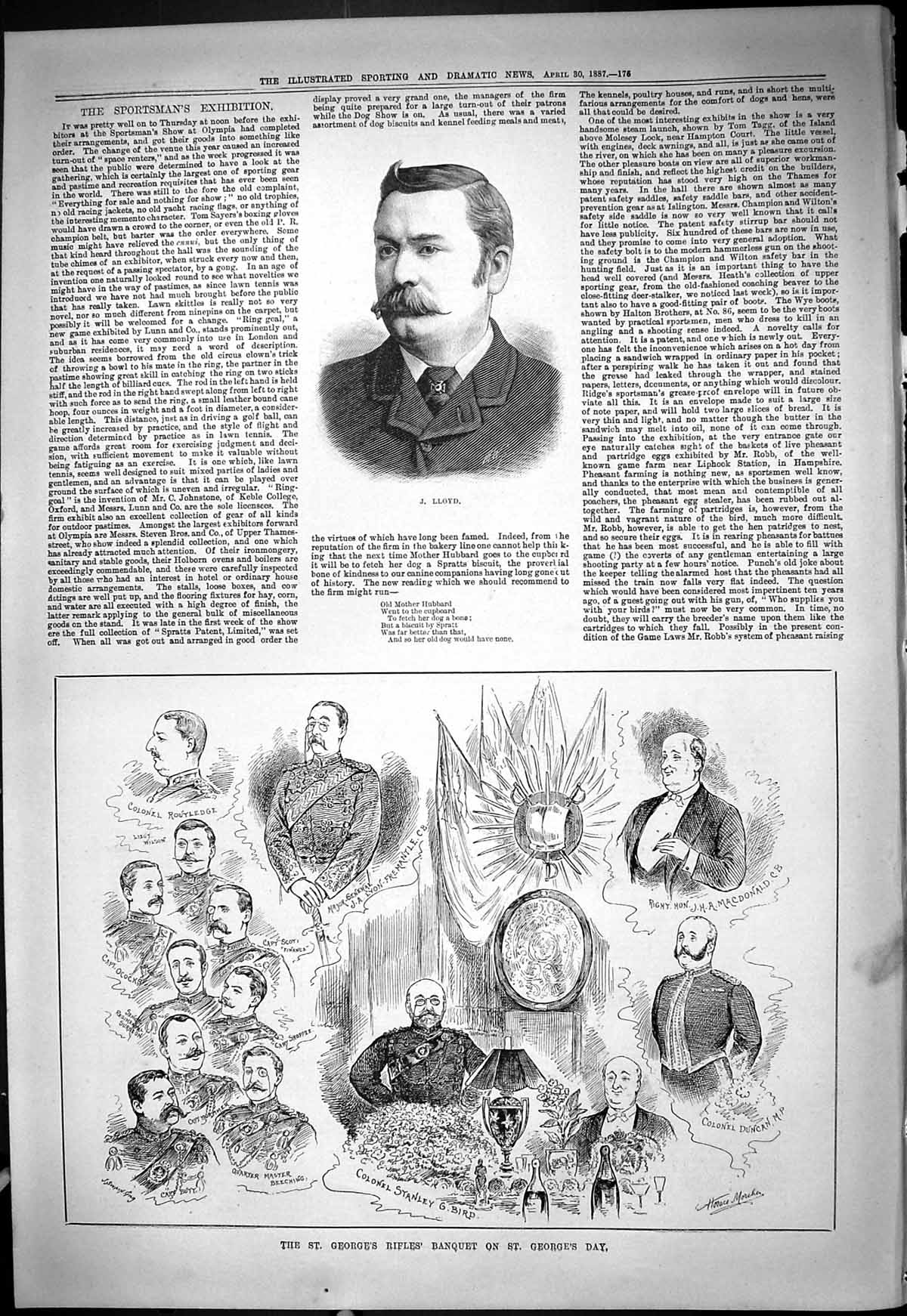 Old 1887 Lloyd George'S Rifle Banquet Bird Duncan Beeching Butt Ocock Victorian