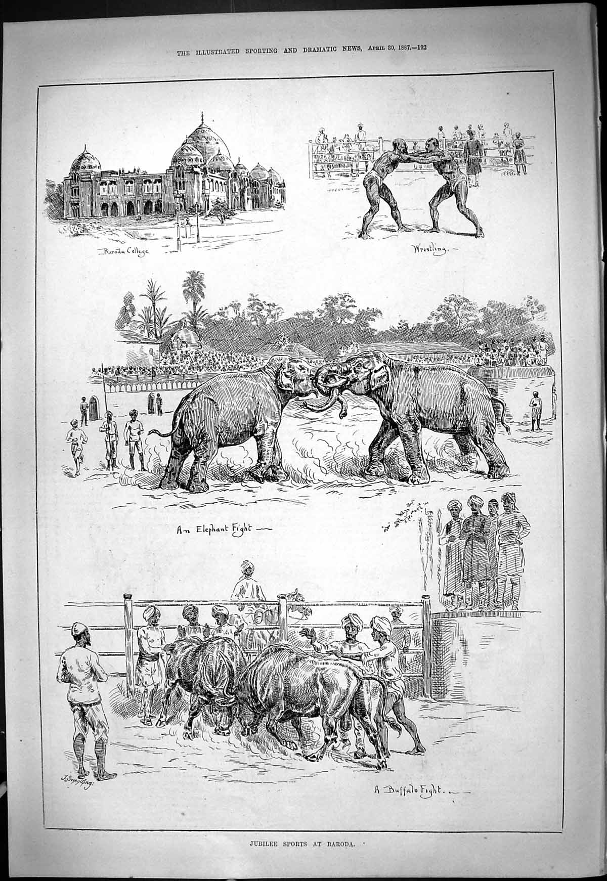 Old Theatre Critic1887 Jubilee Sport Baroda Elephant Fight College Wr Victorian