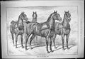 Original Old Antique Print 1887 Horses Ready Opening Meet Sturgess Swain 19th