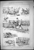 Old Antique Print 1887 Branding Calves Western Stock Ranche Cattle Horses 19th