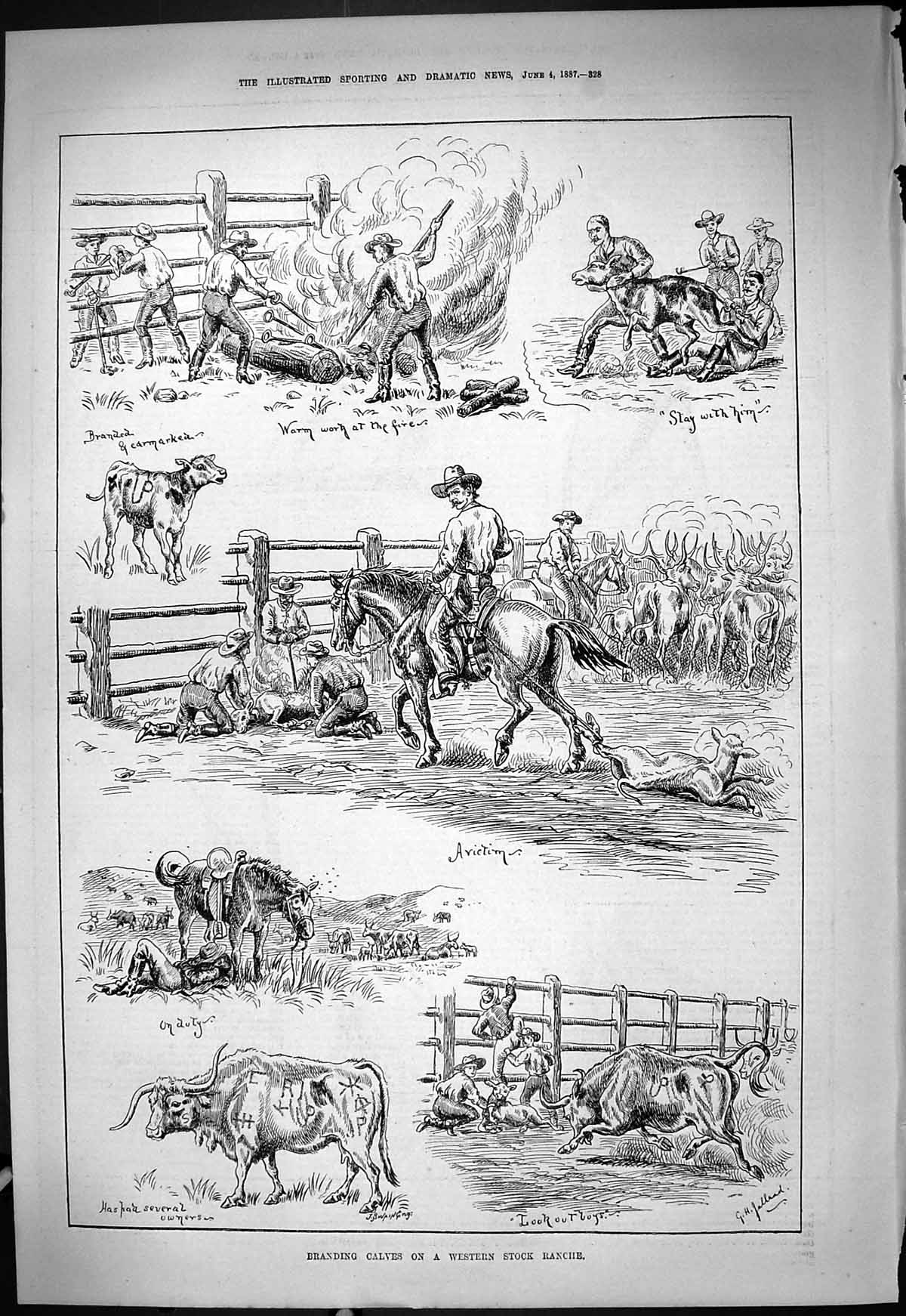 Old Antique Print 1887 Branding Calves Western Stock Ranche Cattle Horses 19th