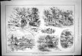 Old Antique Print Virginia Water Church River 1887 Swain Cycling Rambles 19th
