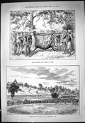 Old Print 1887 Tiger Shooting Hunting India Cycling Alexandra Park Sport 19th