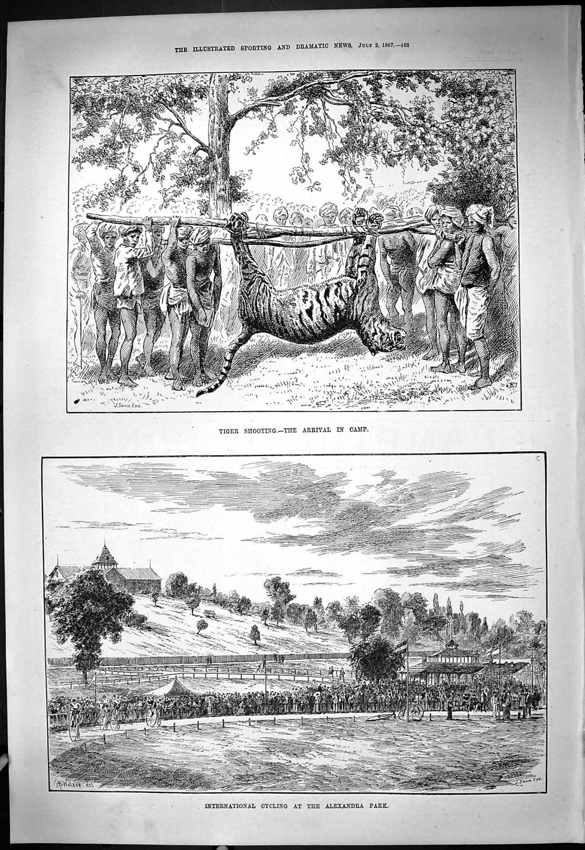 Old Print 1887 Tiger Shooting Hunting India Cycling Alexandra Park Sport 19th