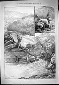 Antique Print 1887 Sport Macgregor Country Fishing River Angling Fishermen 19th